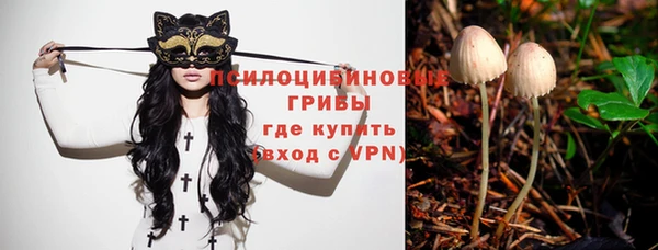 соль ск Козельск
